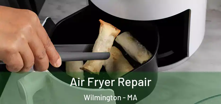  Air Fryer Repair Wilmington - MA