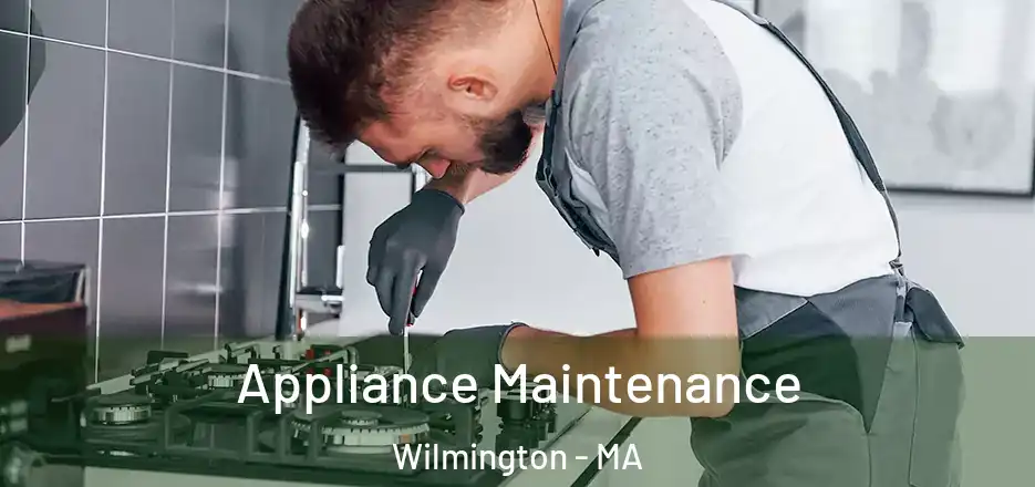  Appliance Maintenance Wilmington - MA