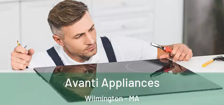  Avanti Appliances Wilmington - MA