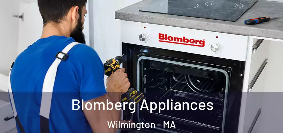  Blomberg Appliances Wilmington - MA