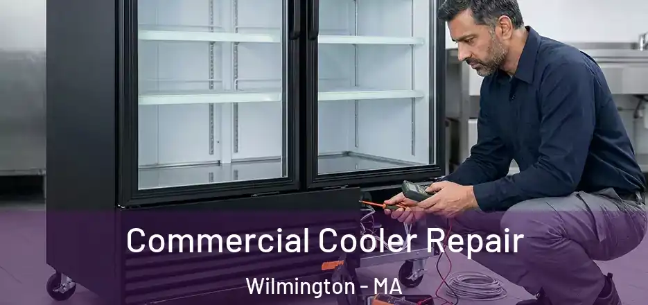  Commercial Cooler Repair Wilmington - MA