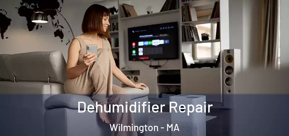  Dehumidifier Repair Wilmington - MA