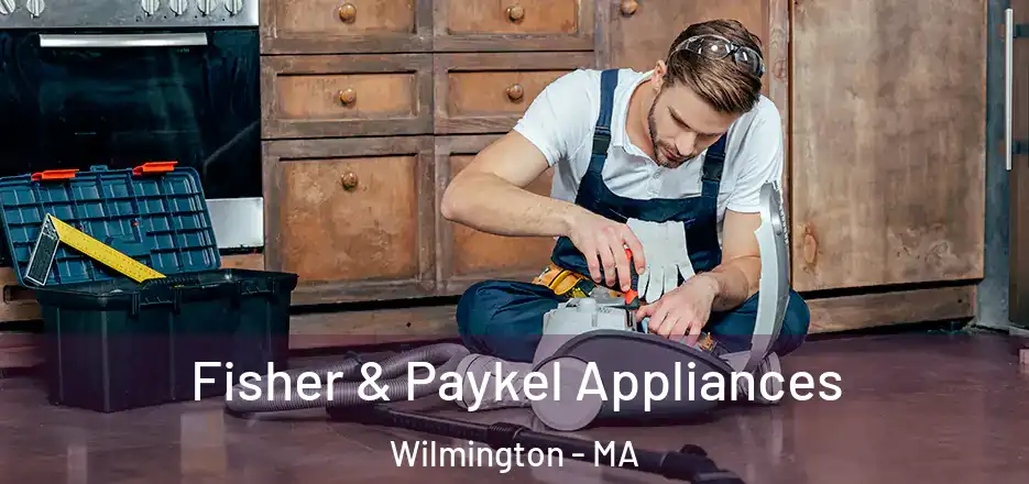  Fisher & Paykel Appliances Wilmington - MA