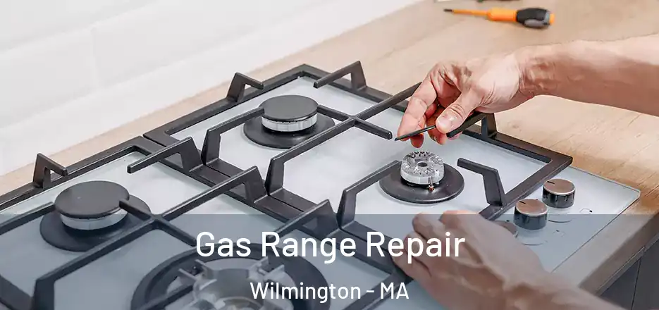  Gas Range Repair Wilmington - MA