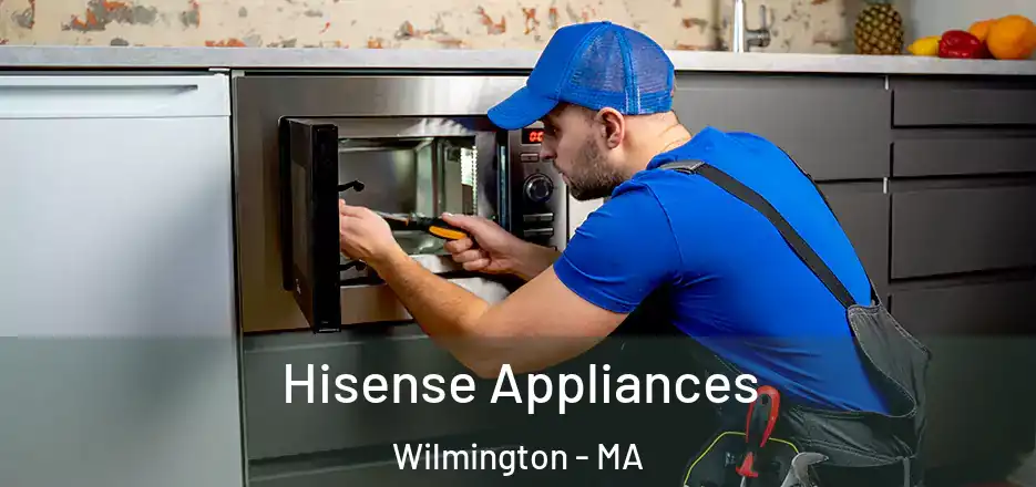  Hisense Appliances Wilmington - MA