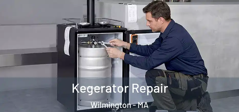  Kegerator Repair Wilmington - MA