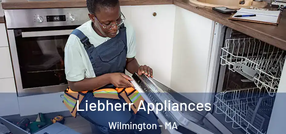  Liebherr Appliances Wilmington - MA