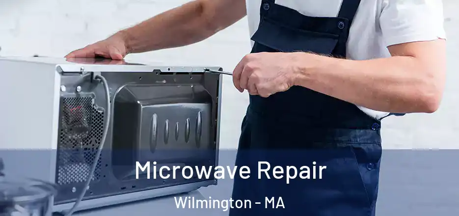  Microwave Repair Wilmington - MA