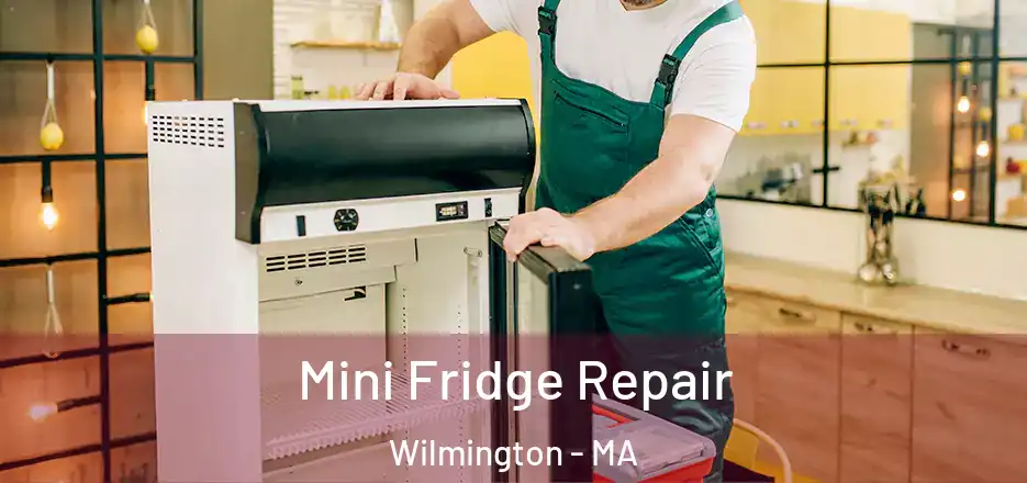  Mini Fridge Repair Wilmington - MA
