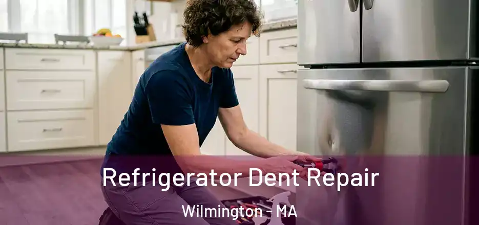  Refrigerator Dent Repair Wilmington - MA