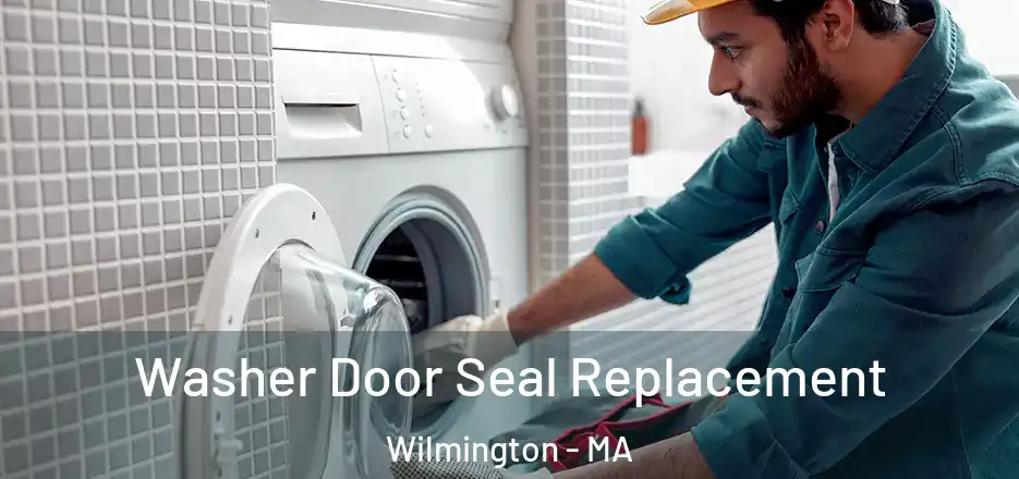  Washer Door Seal Replacement Wilmington - MA